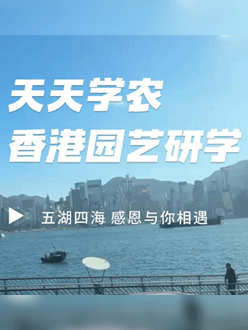 与香港园艺学会联合举办香港园艺研学，专业园境师带队讲解。